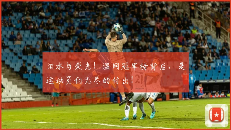泪水与荣光！温网冠军榜背后，是运动员们无尽的付出！